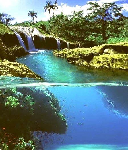 Above and Below Waterfall, Jamaica