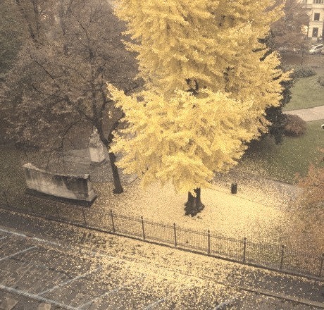 Autumn, Turin, Italy