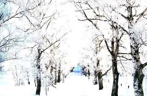 Snowy Lane, Galaverna, Sweden