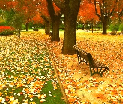 Change of Seasons, Olympia, Washington