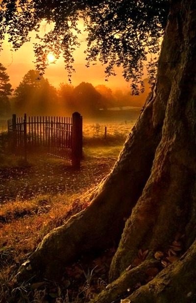 Sunset Gate, Ireland