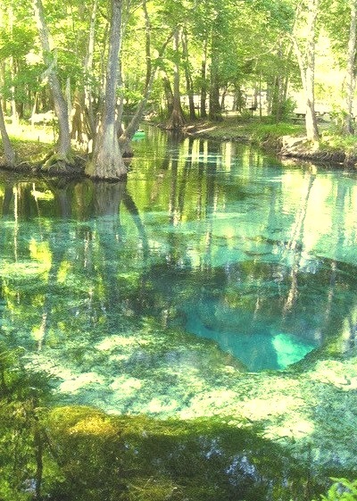Turquoise Pool, Ginnie Springs, Florida