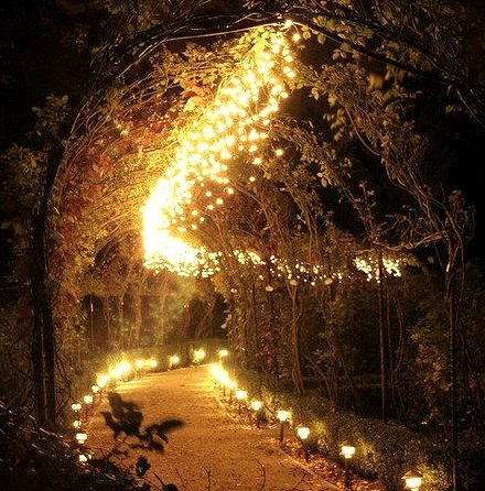 Lighted Path, Brodsworth, England
