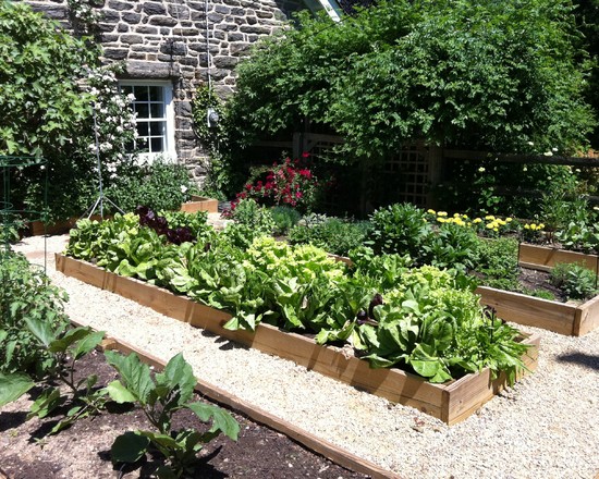 Vegetable Garden (Philadelphia)