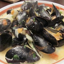 Seafood – Steamed Mussels With Fennel Tomatoes Ouzo And Cream